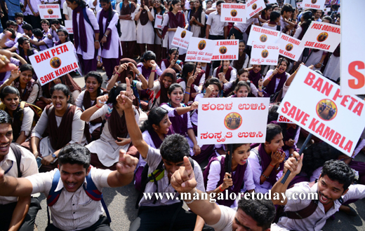 stuents  protest against Kambla ban in Mangalore